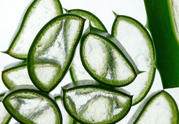Aloe’s Deep Dark Secret for Even Tone