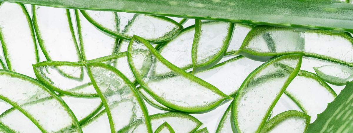 aloe vera pelo Aloe Vera Gel Puro, 100% natural, organic, vegan – XXL Lashes main image 1