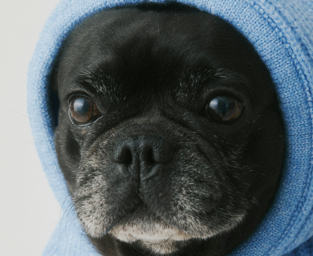 How to Beat the Winter Skin Blahs