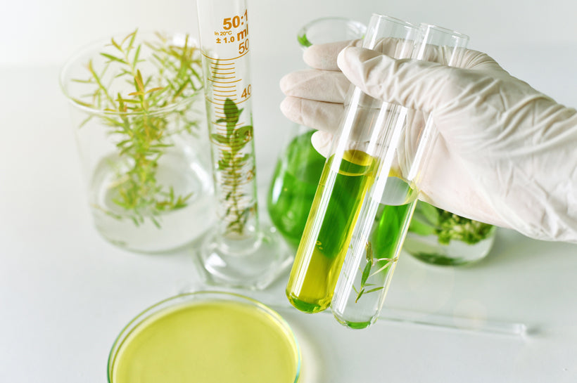 Salicylic Acid: Skin Care’s Ultimate Team Player