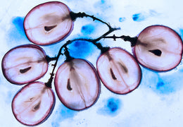 The Greatness of Grape Seed Oil