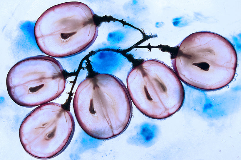 The Greatness of Grape Seed Oil
