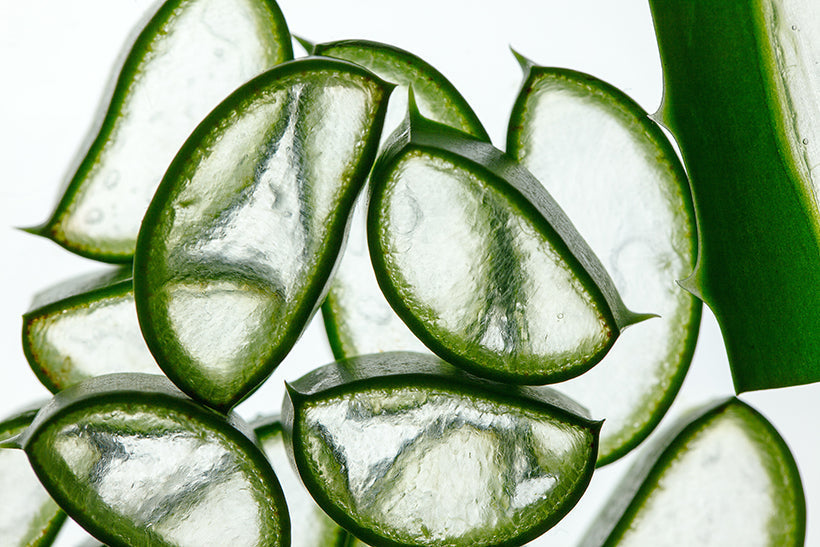 Aloe’s Deep Dark Secret for Even Tone