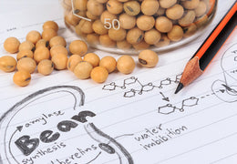 If Melasma Is Your Issue, You May Have An Issue With Soy