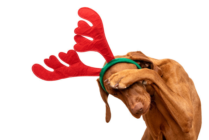holiday stress skincare